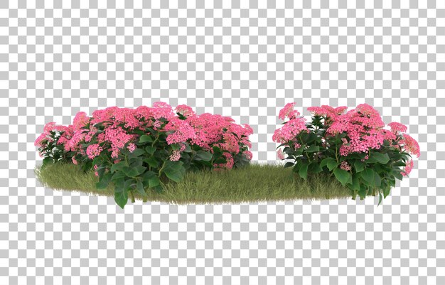 Campo de hierba con flores sobre fondo transparente. Representación 3d - ilustración