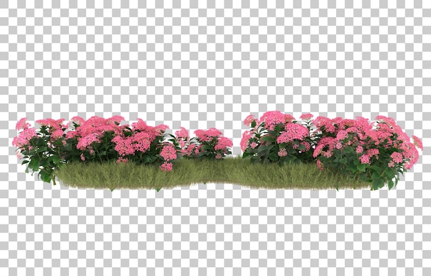 Campo de hierba con flores sobre fondo transparente. Representación 3d - ilustración
