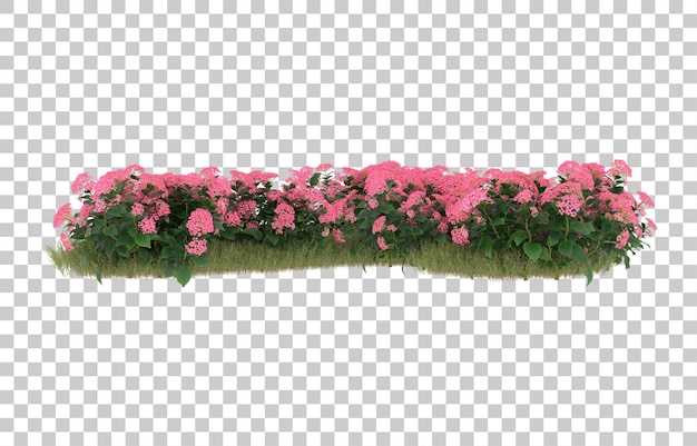 Campo de hierba con flores sobre fondo transparente. representación 3d - ilustración