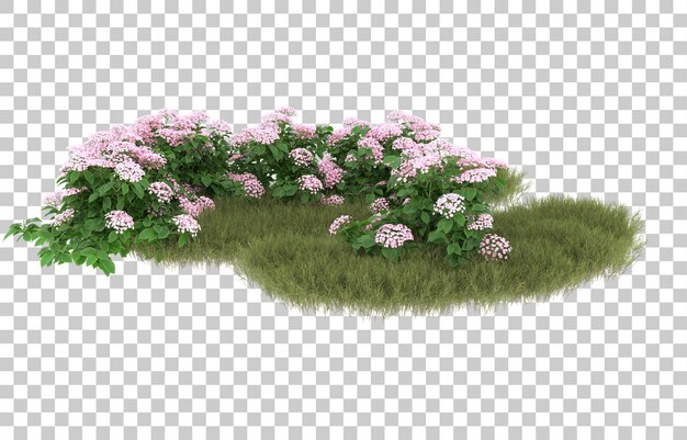 Campo de hierba con flores sobre fondo transparente. Representación 3d - ilustración