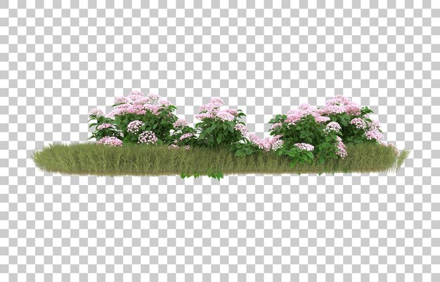 Campo de hierba con flores sobre fondo transparente. Representación 3d - ilustración