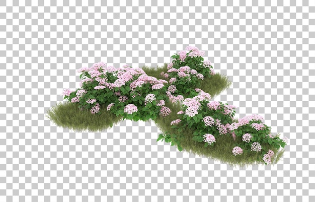 Campo de hierba con flores sobre fondo transparente. Representación 3d - ilustración
