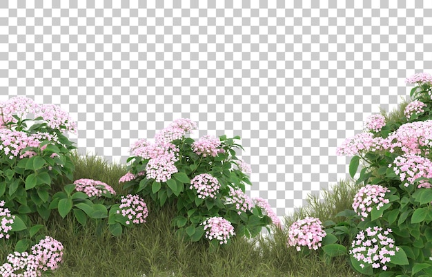 Campo de hierba con flores sobre fondo transparente. Representación 3d - ilustración