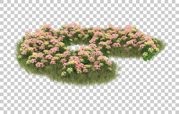 Campo de hierba con flores sobre fondo transparente. Representación 3d - ilustración