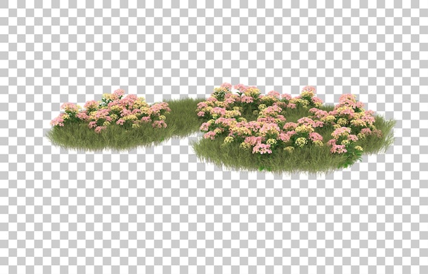 Campo de hierba con flores sobre fondo transparente. Representación 3d - ilustración
