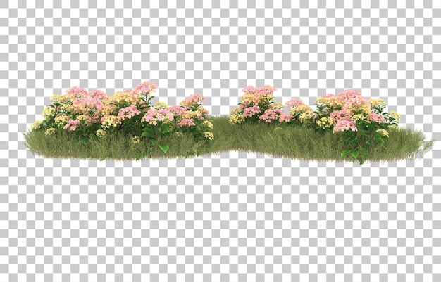 Campo de hierba con flores sobre fondo transparente. Representación 3d - ilustración