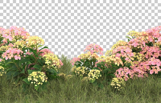 PSD campo de hierba con flores sobre fondo transparente. representación 3d - ilustración