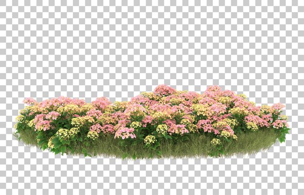 Campo de hierba con flores sobre fondo transparente. Representación 3d - ilustración