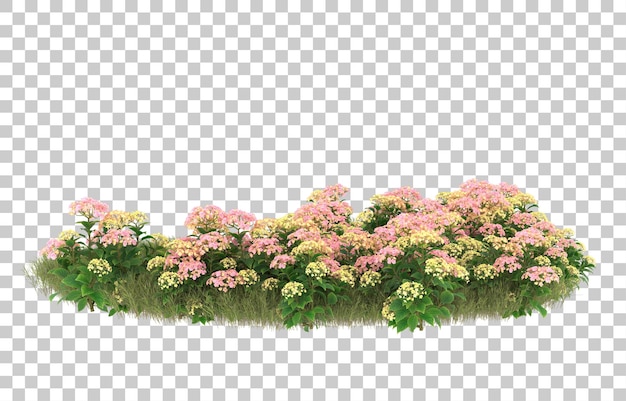 Campo de hierba con flores sobre fondo transparente. Representación 3d - ilustración