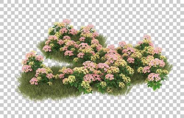 Campo de hierba con flores sobre fondo transparente. Representación 3d - ilustración