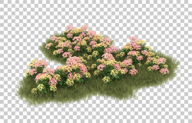 Campo de hierba con flores sobre fondo transparente. Representación 3d - ilustración