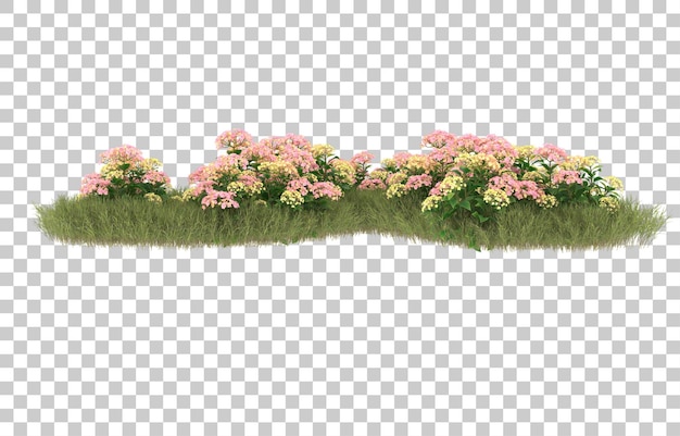 Campo de hierba con flores sobre fondo transparente. Representación 3d - ilustración