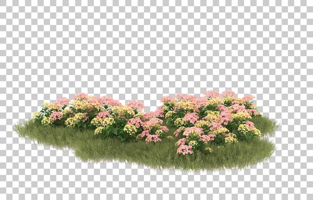 Campo de hierba con flores sobre fondo transparente. Representación 3d - ilustración