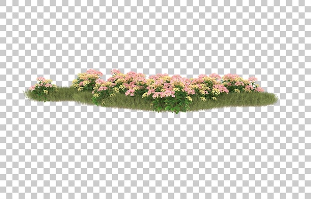 Campo de hierba con flores sobre fondo transparente. Representación 3d - ilustración