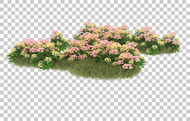 Campo de hierba con flores sobre fondo transparente. representación 3d - ilustración