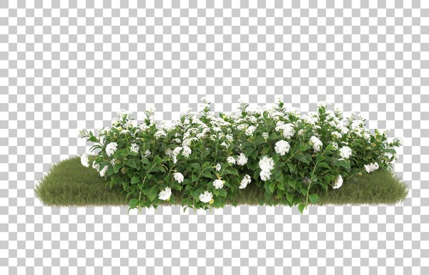 Campo de hierba con flores sobre fondo transparente. Representación 3d - ilustración