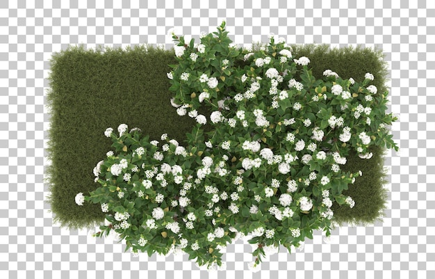 Campo de hierba con flores sobre fondo transparente. Representación 3d - ilustración