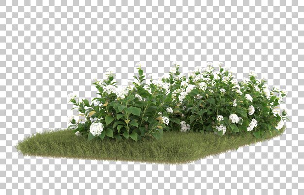 Campo de hierba con flores sobre fondo transparente. Representación 3d - ilustración