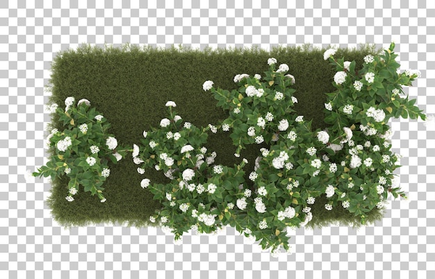 Campo de hierba con flores sobre fondo transparente. Representación 3d - ilustración