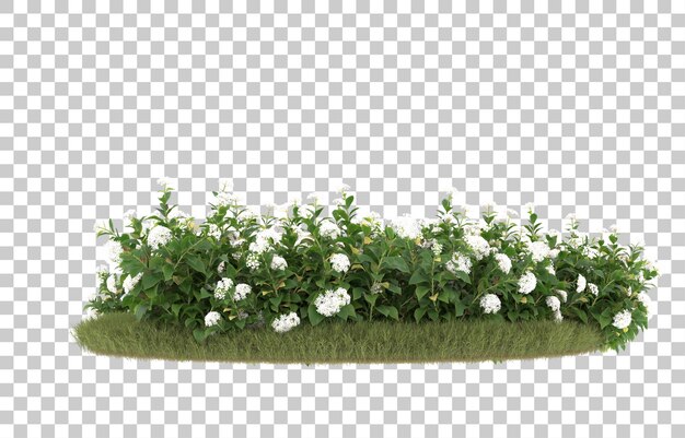 Campo de hierba con flores sobre fondo transparente. Representación 3d - ilustración