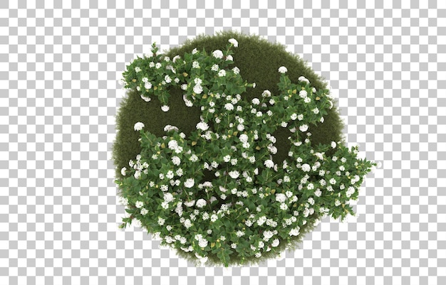 Campo de hierba con flores sobre fondo transparente. Representación 3d - ilustración