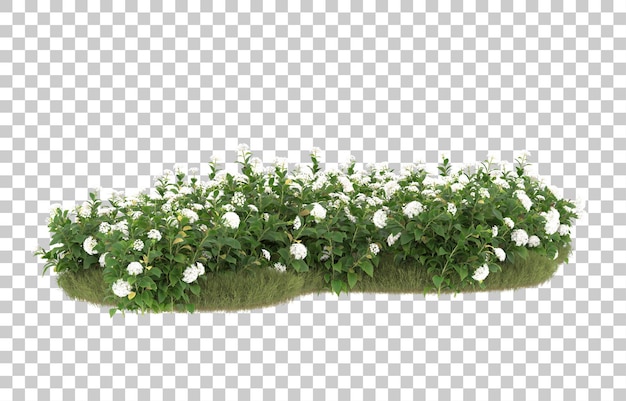 Campo de hierba con flores sobre fondo transparente. Representación 3d - ilustración