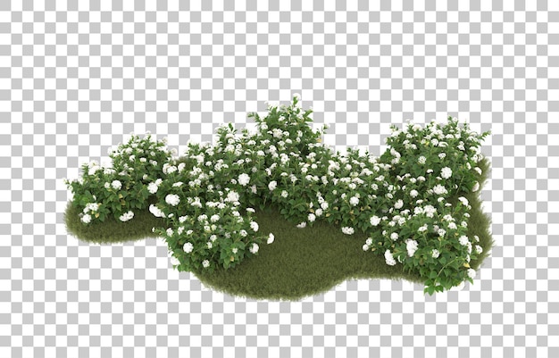 Campo de hierba con flores sobre fondo transparente. Representación 3d - ilustración