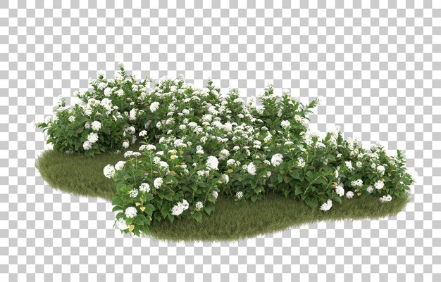 Campo de hierba con flores sobre fondo transparente. Representación 3d - ilustración