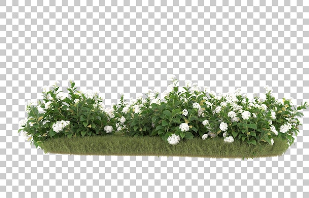 Campo de hierba con flores sobre fondo transparente. Representación 3d - ilustración