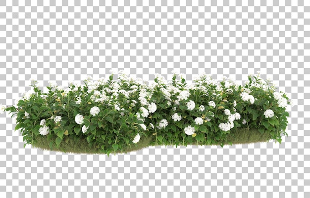 Campo de hierba con flores sobre fondo transparente. Representación 3d - ilustración