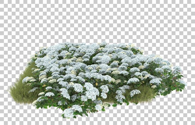 Campo de hierba con flores sobre fondo transparente. Representación 3d - ilustración