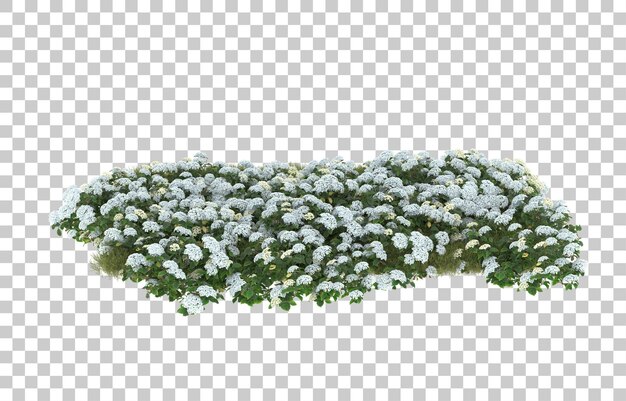 Campo de hierba con flores sobre fondo transparente. Representación 3d - ilustración