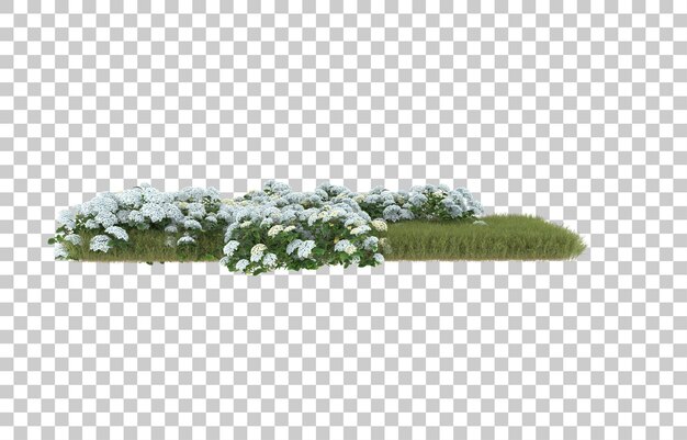 Campo de hierba con flores sobre fondo transparente. Representación 3d - ilustración