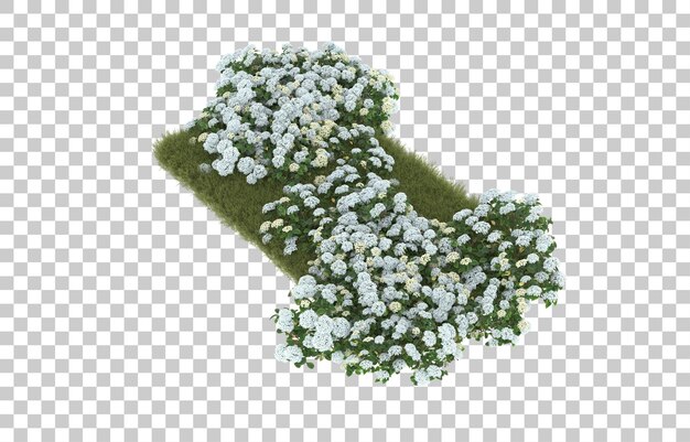Campo de hierba con flores sobre fondo transparente. Representación 3d - ilustración
