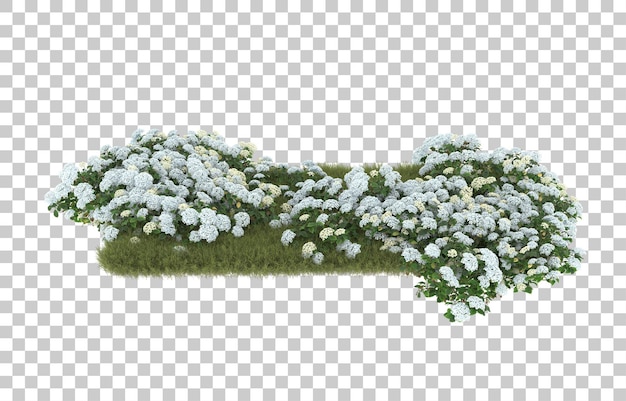 Campo de hierba con flores sobre fondo transparente. Representación 3d - ilustración
