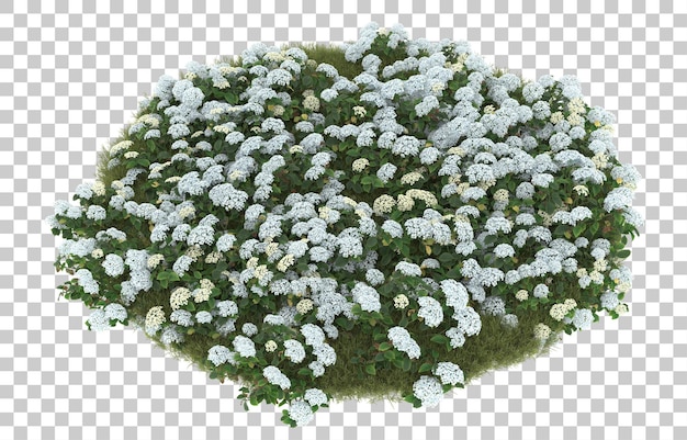 Campo de hierba con flores sobre fondo transparente. Representación 3d - ilustración