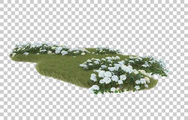 Campo de hierba con flores sobre fondo transparente. Representación 3d - ilustración