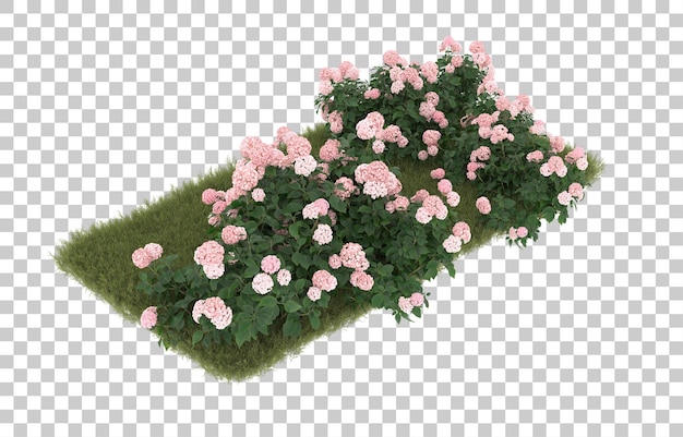 Campo de hierba con flores sobre fondo transparente. Representación 3d - ilustración