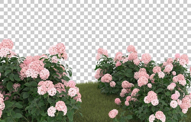 Campo de hierba con flores sobre fondo transparente. representación 3d - ilustración