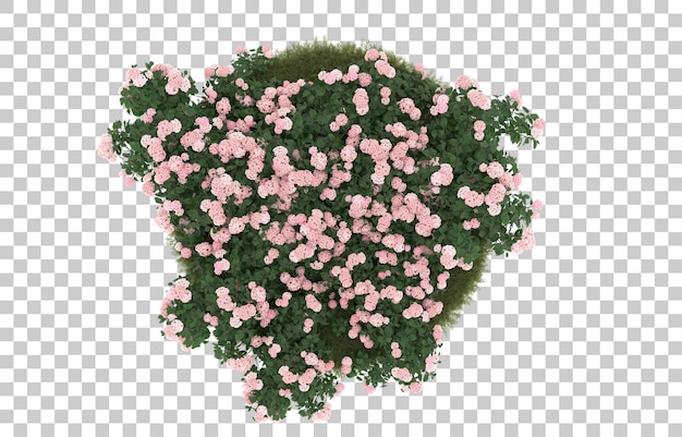 Campo de hierba con flores sobre fondo transparente. Representación 3d - ilustración