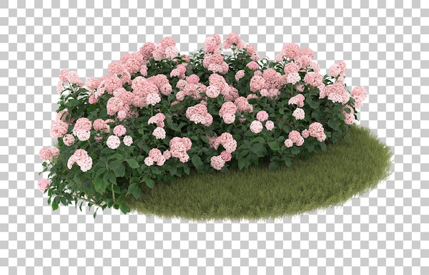 Campo de hierba con flores sobre fondo transparente. representación 3d - ilustración