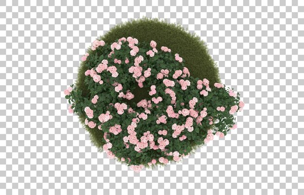 Campo de hierba con flores sobre fondo transparente. Representación 3d - ilustración