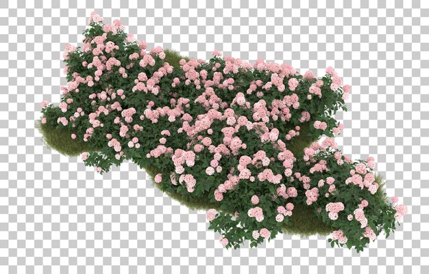 Campo de hierba con flores sobre fondo transparente. Representación 3d - ilustración