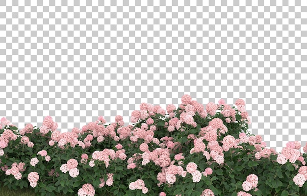 Campo de hierba con flores sobre fondo transparente. Representación 3d - ilustración