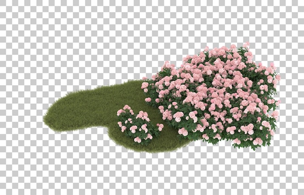 Campo de hierba con flores sobre fondo transparente. Representación 3d - ilustración