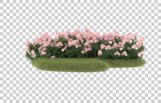 Campo de hierba con flores sobre fondo transparente. Representación 3d - ilustración