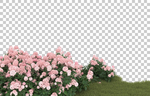 Campo de hierba con flores sobre fondo transparente. Representación 3d - ilustración