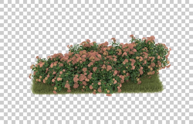 Campo de hierba con flores sobre fondo transparente. representación 3d - ilustración