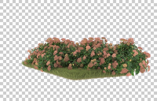 Campo de hierba con flores sobre fondo transparente. Representación 3d - ilustración