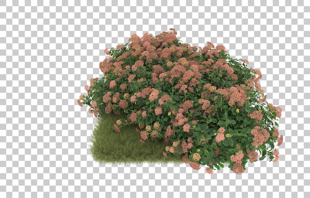 Campo de hierba con flores sobre fondo transparente. representación 3d - ilustración